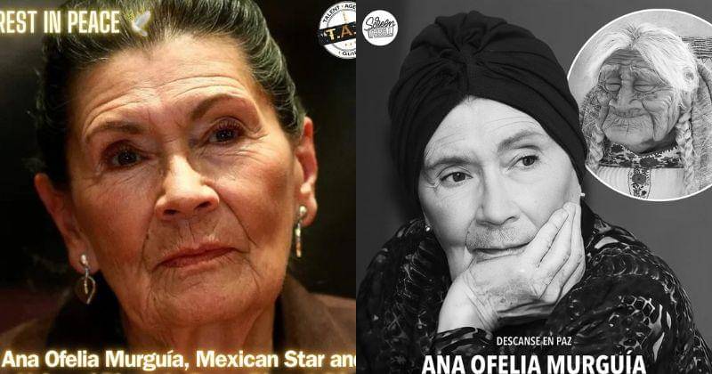 Instagram.com/talentagencyguide/screenthrill